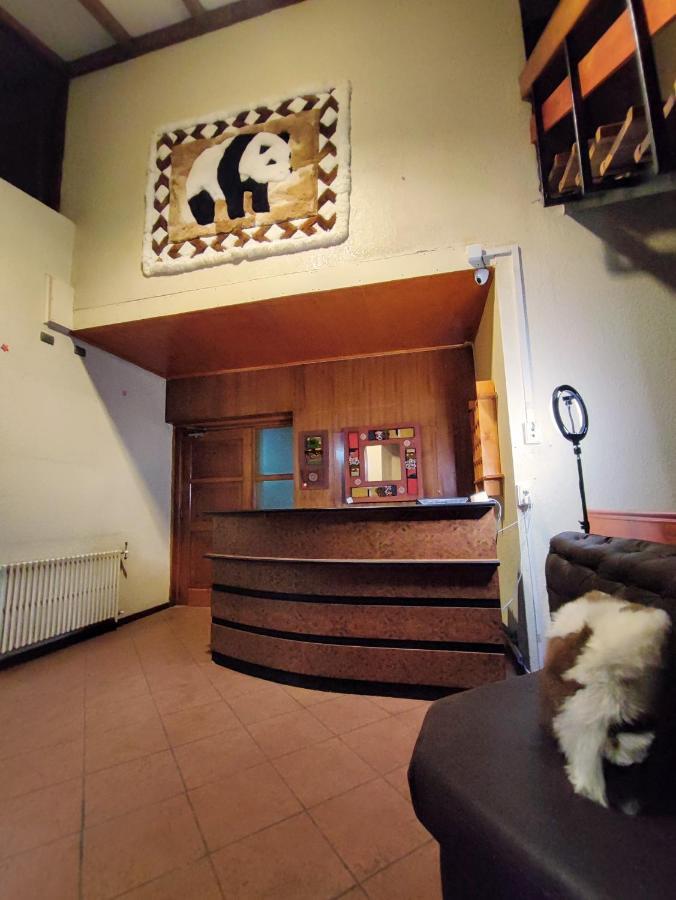 Dallas Housen Bed & Breakfast Osorno Bagian luar foto